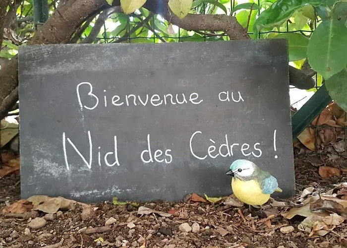 Le Nid Des Cedres, Voisin Des Thermes Et Du Centre